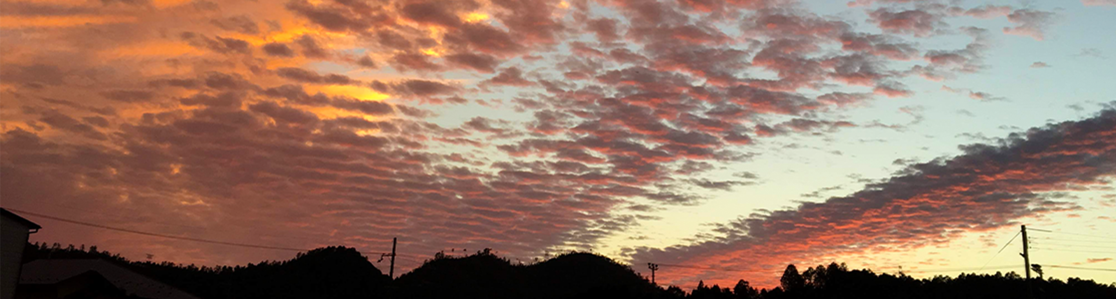 京北で四季の美しさを堪能